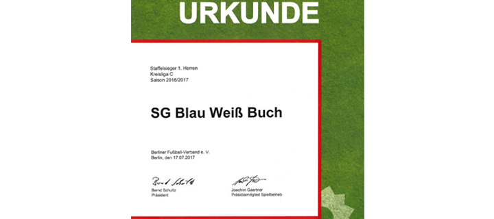 Staffelsieg-Urkunde Saison 2016/2017